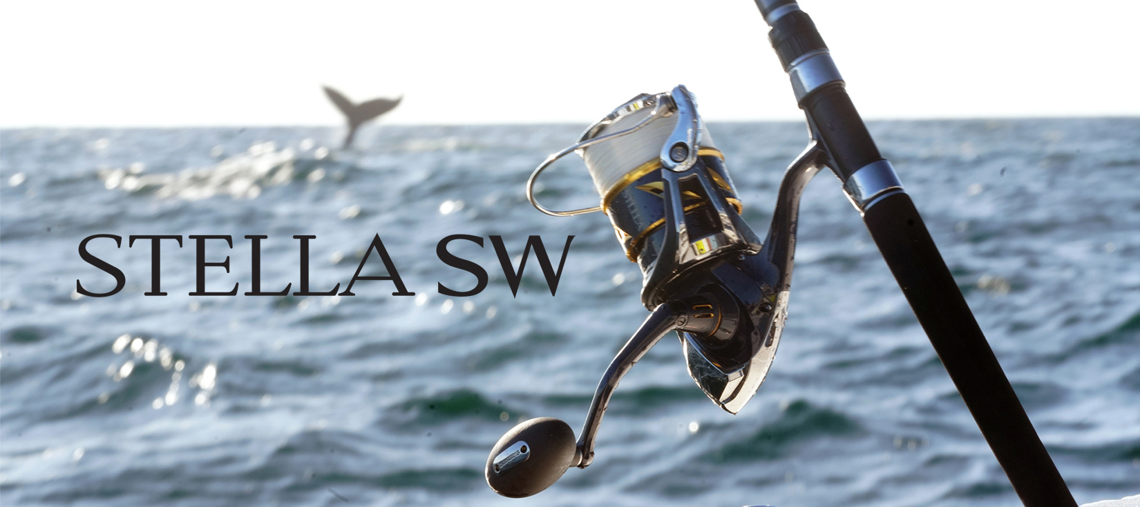 Shimano Shop 3 Shimano Shop -Shimano Shop Shimano3